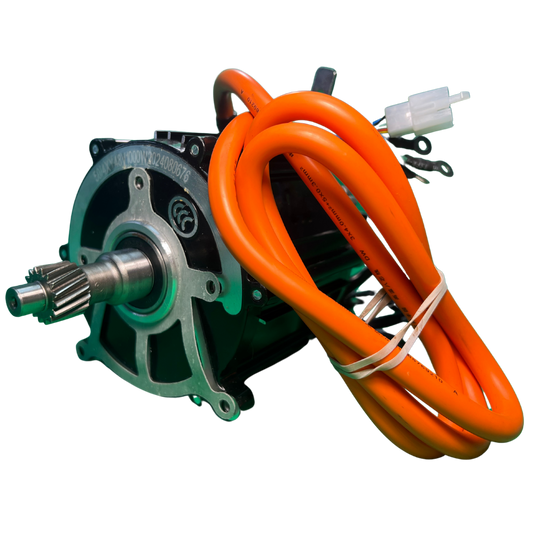 E-Hustler Electric Motor With Brake